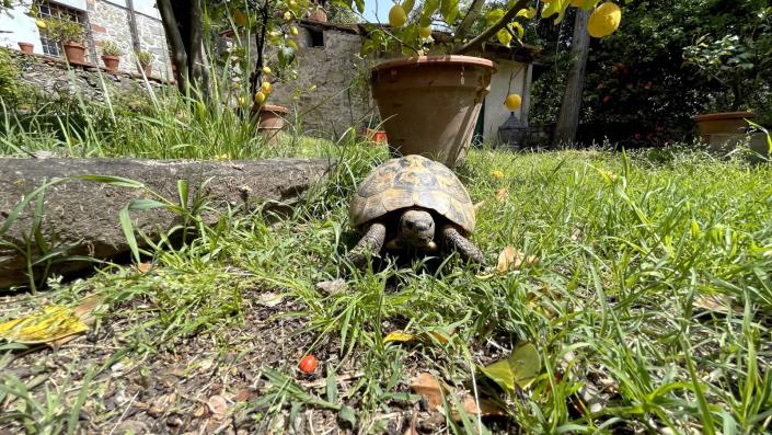 Image No.12-3 Bed Apartment for sale