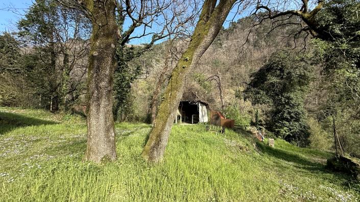 Image No.47-4 Bed House/Villa for sale