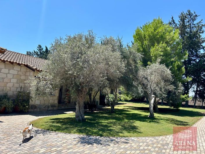 Image No.6-4 Bed Bungalow for sale