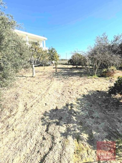 Image No.7-5 Bed Villa for sale