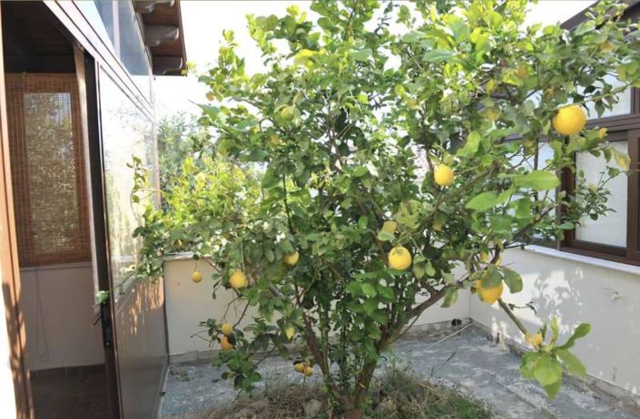 Image No.4-4 Bed Villa for sale