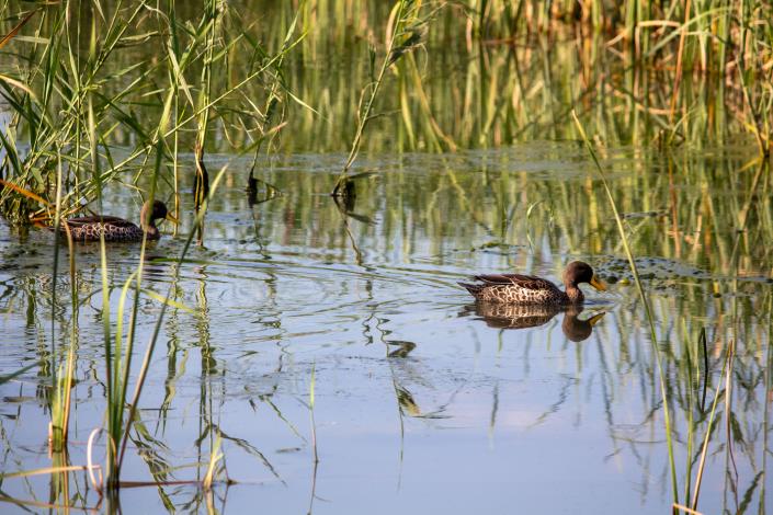 Image No.20-2 Bed Cottage for sale