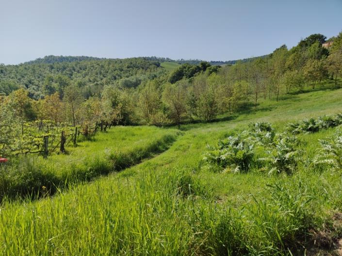 Image No.3-3 Bed Farmhouse for sale