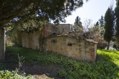 Montisi_Montalcino_farm_estate_for_sale--9-