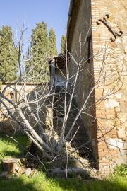 Montisi_Montalcino_farm_estate_for_sale--10-