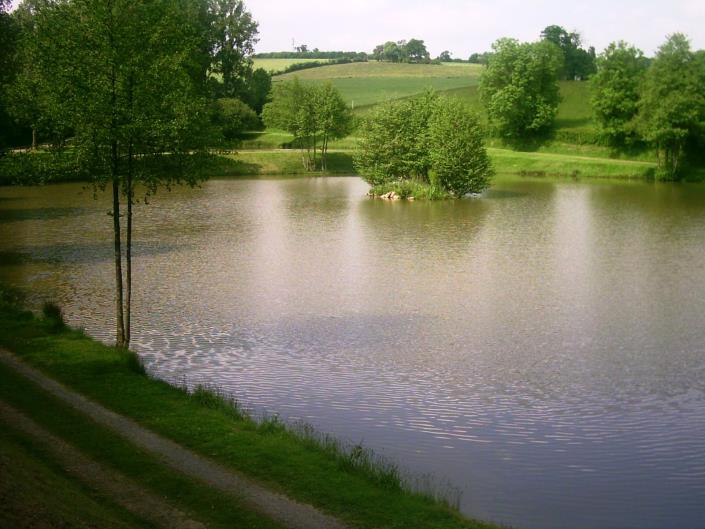 Image No.13-2 Bed House for sale