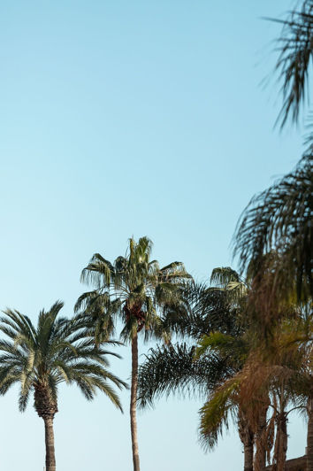 Image No.22-1 Bed Penthouse for sale