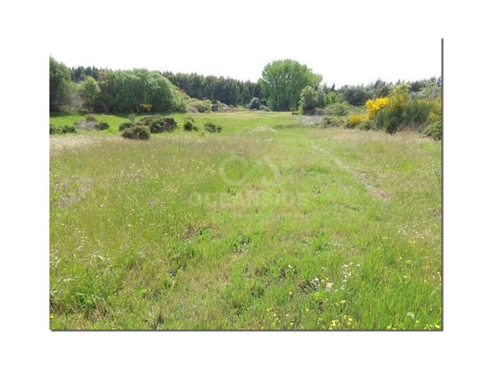 Image No.16-Farmhouse for sale