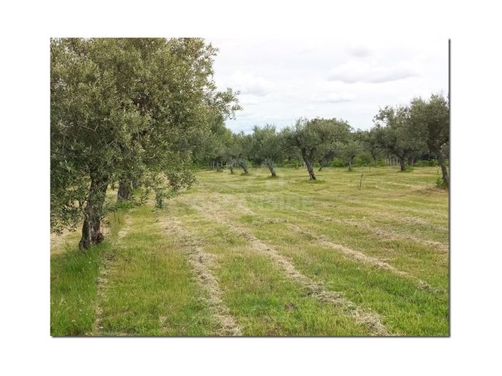 Image No.17-Farmhouse for sale