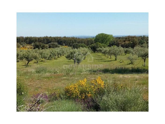 Image No.2-Farmhouse for sale