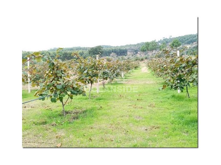 Image No.26-Farmhouse for sale