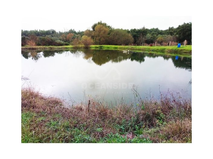 Image No.3-Farmhouse for sale