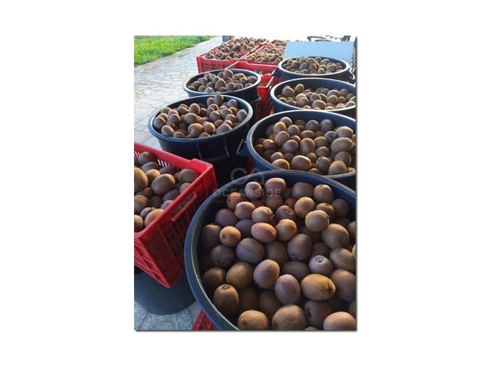 Image No.30-Farmhouse for sale