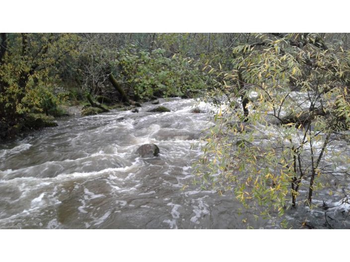 Image No.39-5 Bed House for sale