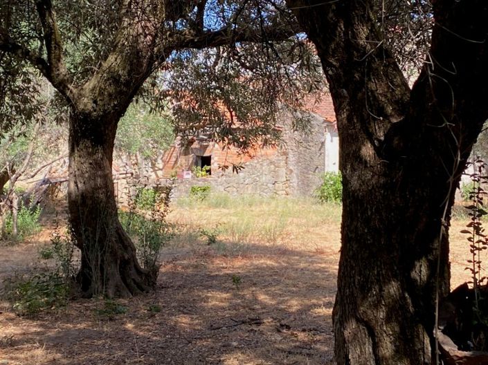 Image No.14-10 Bed House for sale