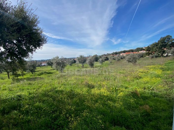 Image No.24-10 Bed House for sale