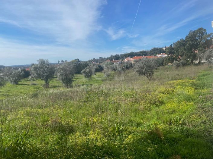 Image No.25-10 Bed House for sale