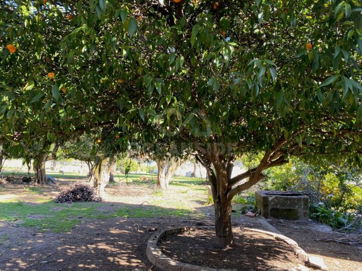 Image No.5-10 Bed House for sale