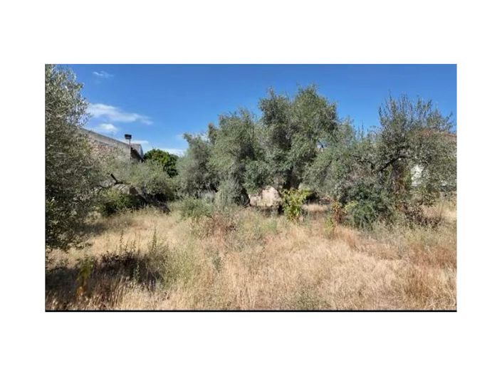 Image No.32-10 Bed House for sale