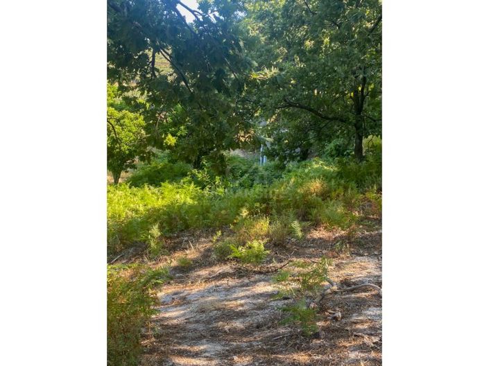 Image No.53-1 Bed House for sale