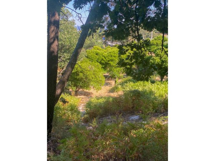 Image No.54-1 Bed House for sale