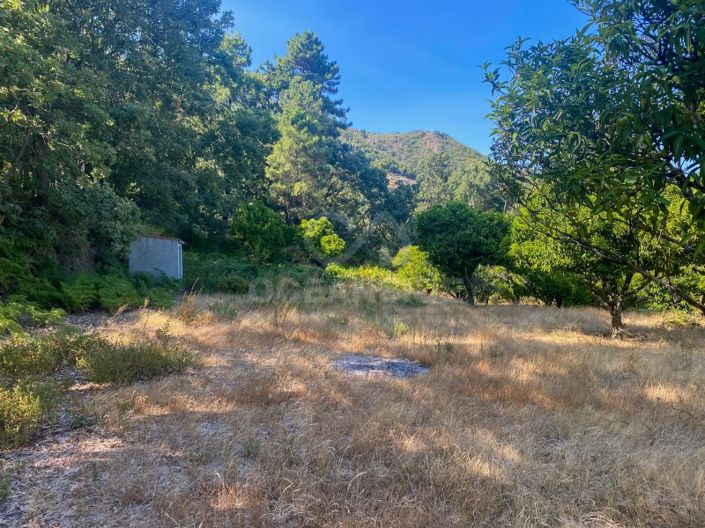 Image No.57-1 Bed House for sale