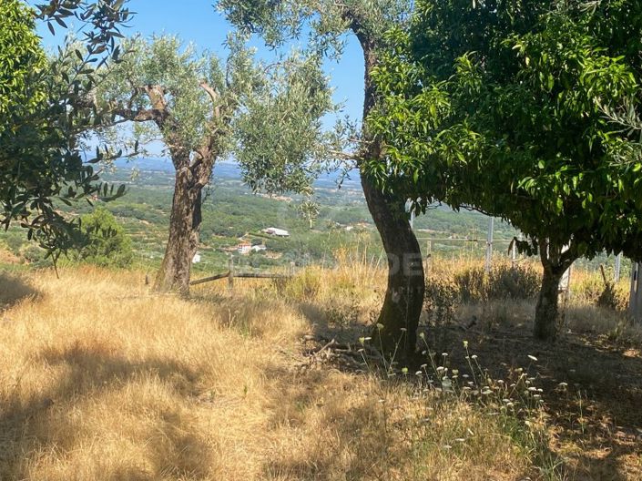 Image No.59-1 Bed House for sale