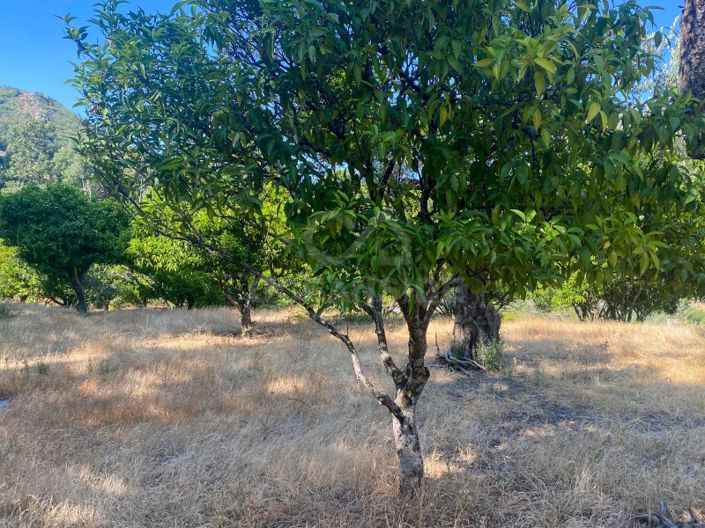 Image No.58-1 Bed House for sale