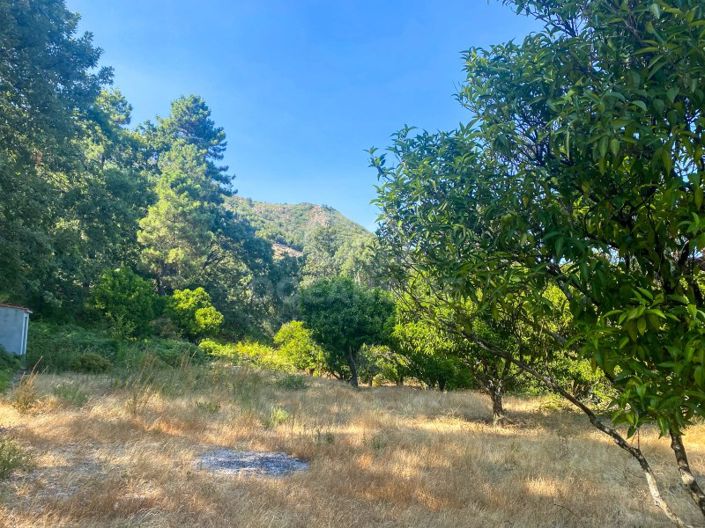 Image No.60-1 Bed House for sale