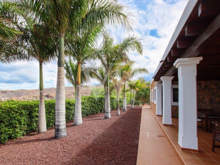 Image No.19-3 Bed Finca for sale