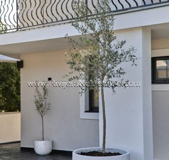 Image No.11-8 Bed Villa for sale