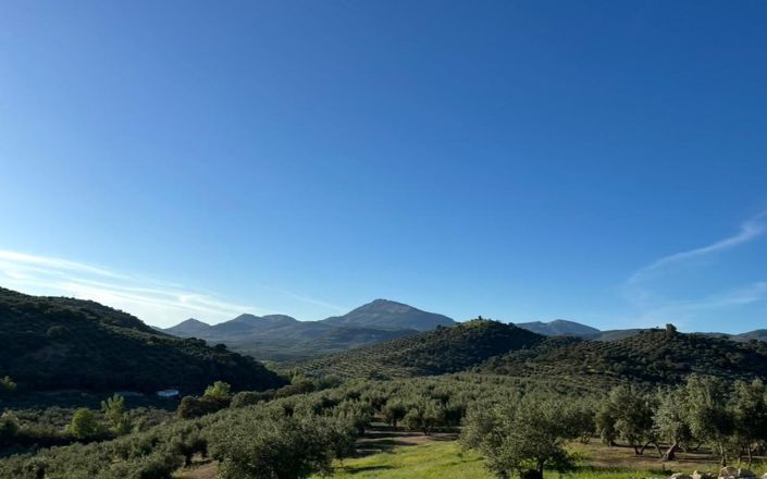 Image No.29-4 Bed House for sale