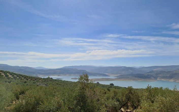 Image No.28-4 Bed House for sale