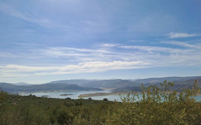 Image No.29-4 Bed House for sale