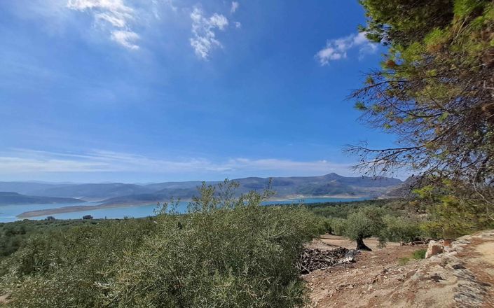 Image No.52-4 Bed House for sale