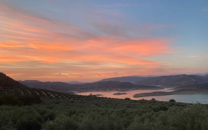 Image No.54-4 Bed House for sale