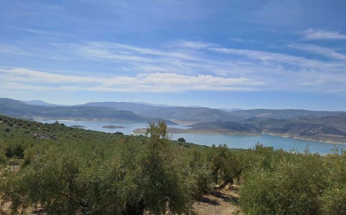 Image No.6-4 Bed House for sale