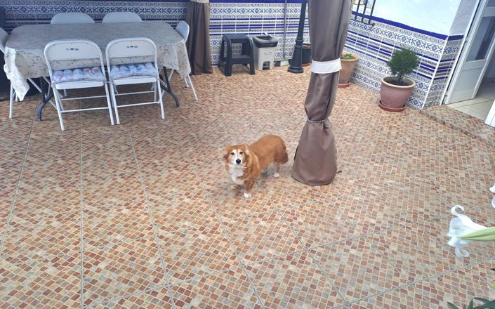 Image No.13-4 Bed House for sale