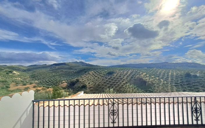 Image No.51-3 Bed House for sale