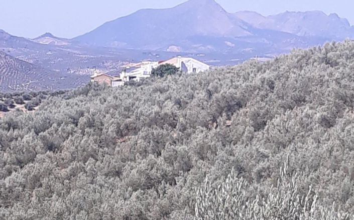 Image No.61-3 Bed House for sale