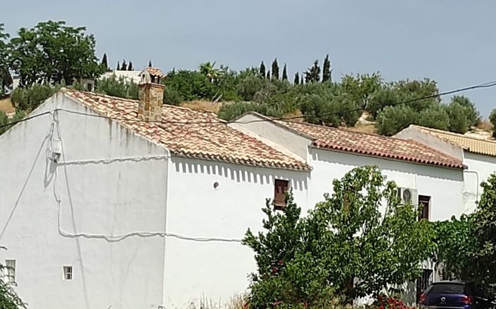 Image No.37-4 Bed House for sale