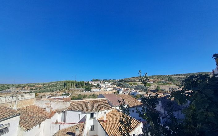 Image No.19-3 Bed House for sale