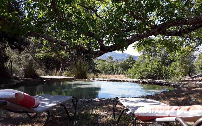 Image No.4-6 Bed House for sale