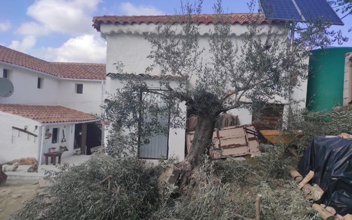 Image No.14-3 Bed House for sale