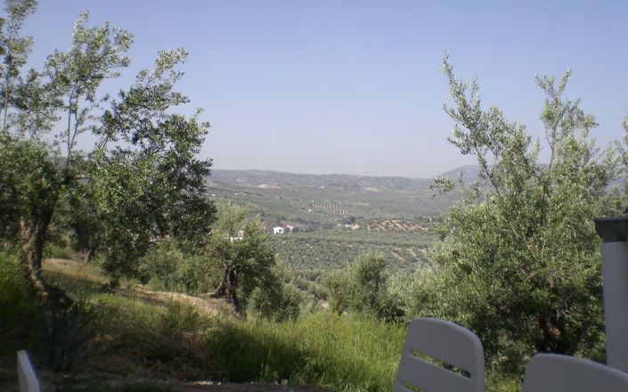 Image No.16-3 Bed House for sale