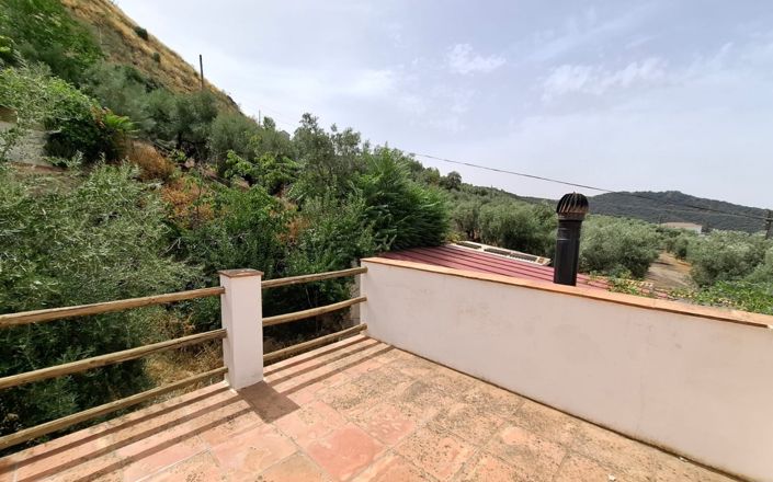 Image No.36-4 Bed House for sale