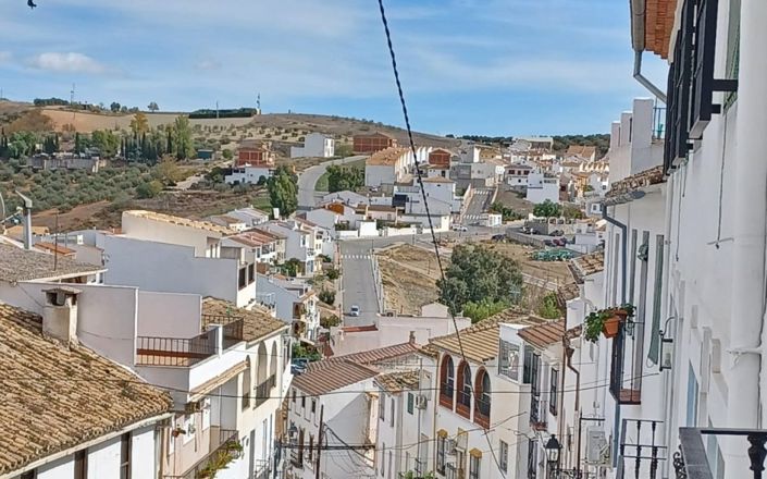 Image No.59-4 Bed House for sale