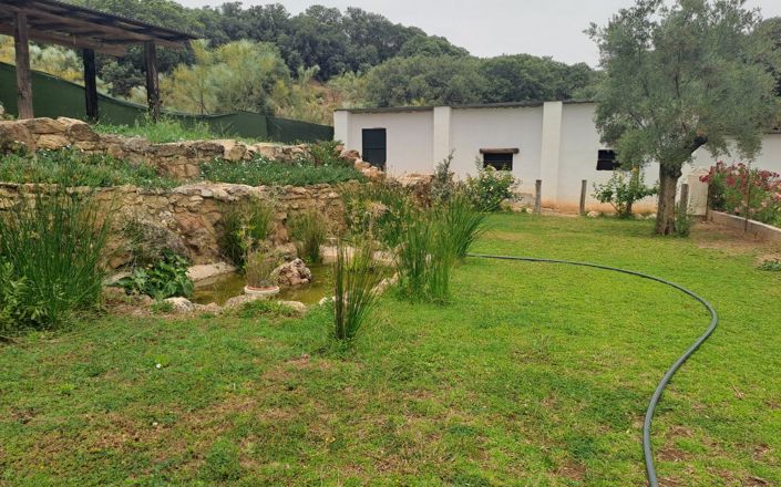 Image No.16-5 Bed House for sale