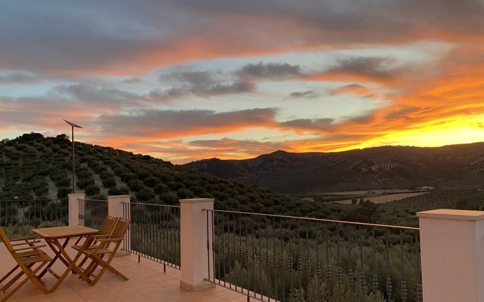 Image No.77-4 Bed House for sale