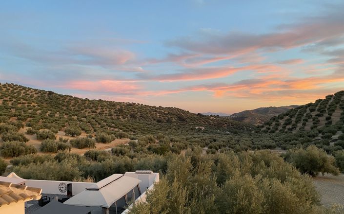 Image No.78-4 Bed House for sale